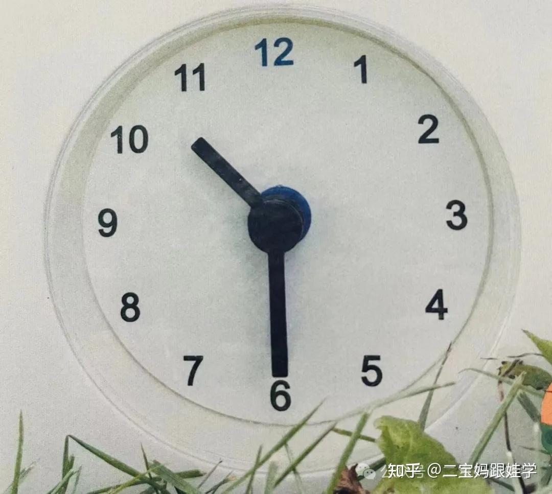 【跟娃学数学】幼儿园大班--认识钟表/电子表,区别时针、分针,认识整点和半点 - 知乎