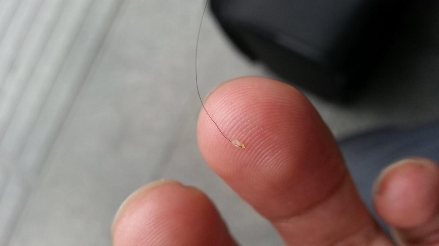 防脱小能手 6人 赞同了该文章 头发根真的会变浅吗?