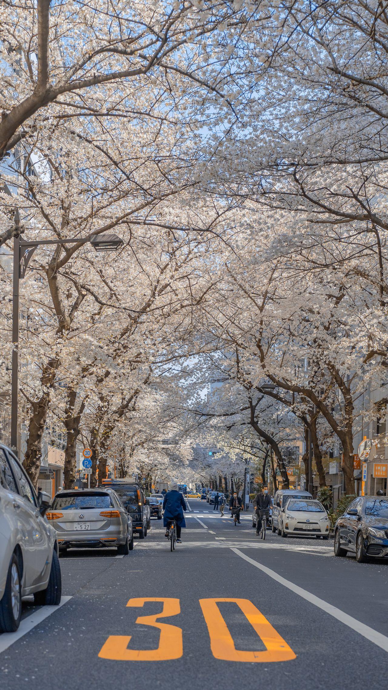 有没有日系街道壁纸例如下面这种的