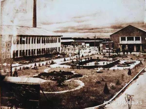 尽管罐头的生产技术是外来货但豆豉鲮鱼的制作配方是地道的广东特产!