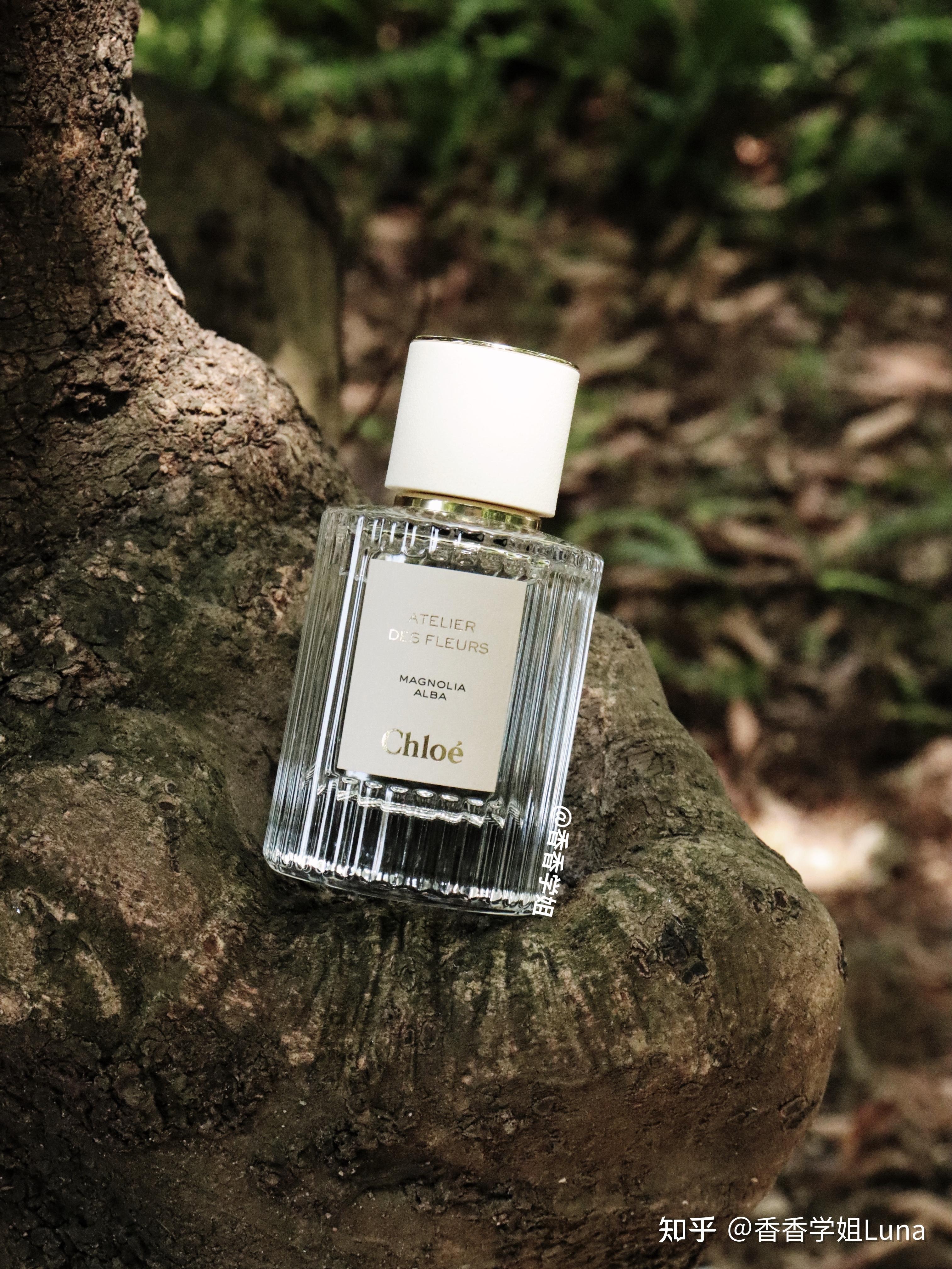 森系文艺香水开在江南雨季里的素雅白兰花