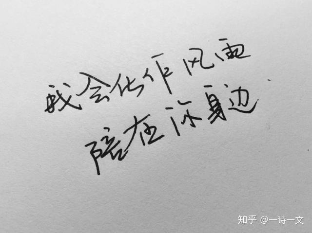 只要你在我就陪伴即使时过境迁我对你的思念亘古不变