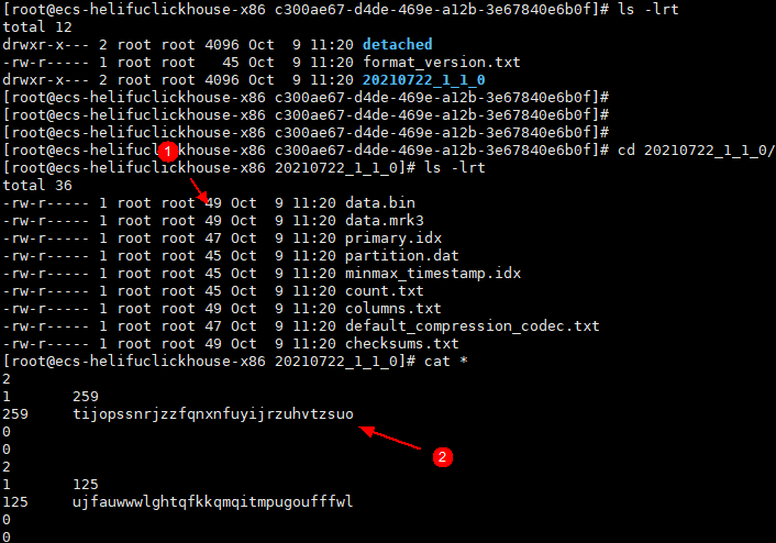 解读clickhouse存算分离在华为云实践 解读clickhouse存算分离在华为云实践