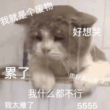 v2-e030c2a8cefeaefee6a638e5d179524d_b.jpg