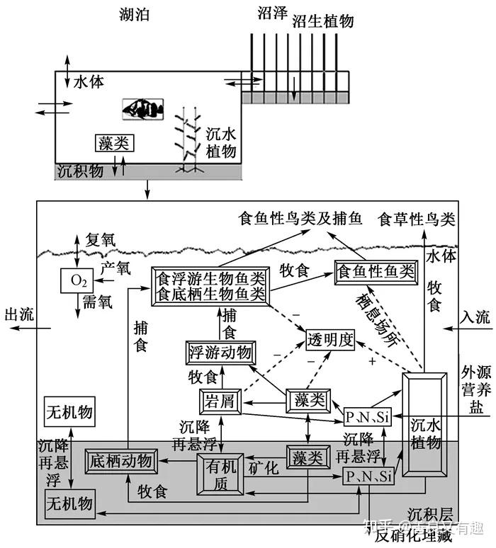 技术推文生态模型在水体富营养化研究领域的应用进展