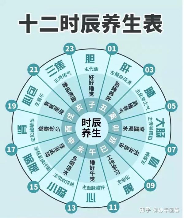 中医科学养生，十二时辰养生表，看看你休息的时间对吗？ - 知乎
