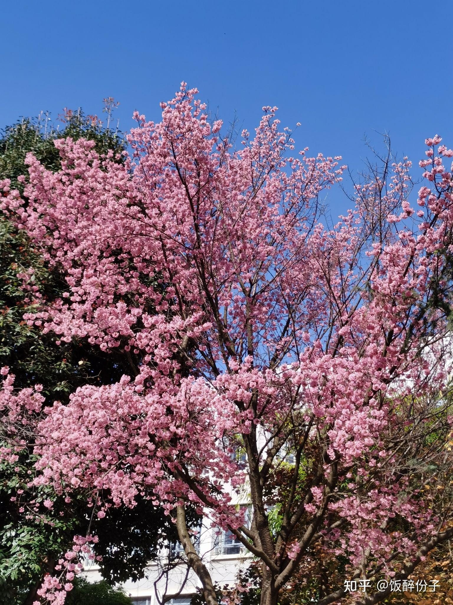 你拍到过哪些冬日绝美风景的照片? - 知乎