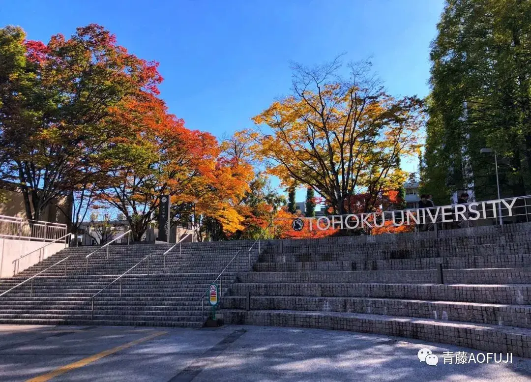 東北大學校園/東北大學在日本大學中排名top5.