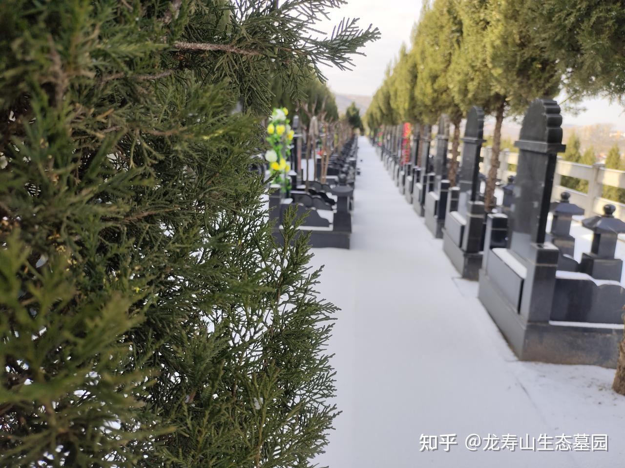 临渭区龙寿山墓园15209207263