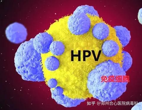 hpv感染的具体原因是什么