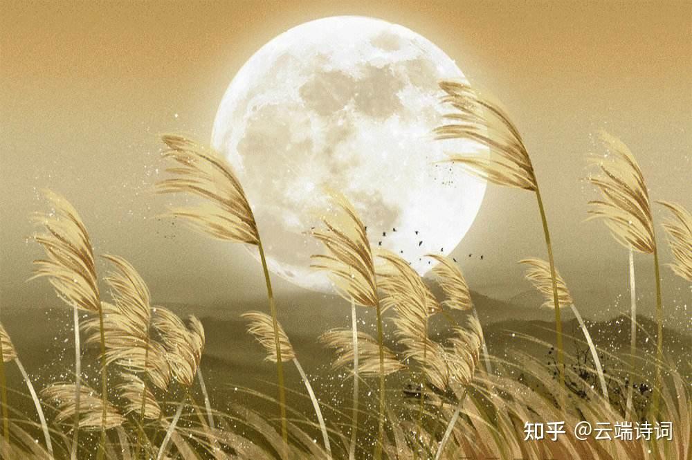 十首有关秋凉的诗词，秋气堪悲未必然，轻寒正是可人天 - 知乎