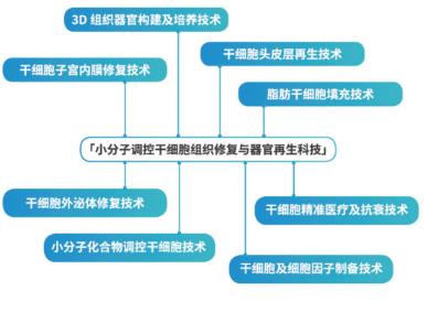 汲发 干细胞头皮层再生技术研制产品 知乎