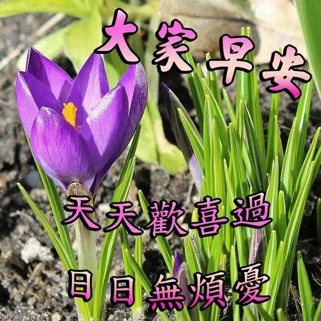 10,生意兴隆,在礼炮声中绽放,顾客盈门,在鲜花中簇拥,财源滚滚,在我的