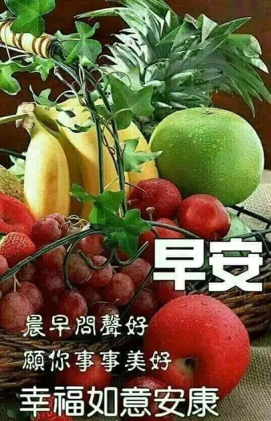 八月份清早问候语录图片鲜花带字清晨漂亮表情图片早上好动图