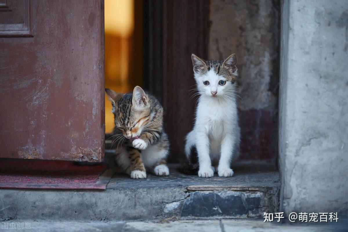 4,守在窗边,门口等着你回家