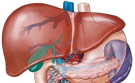 三种呼吸方式，学会助养肺