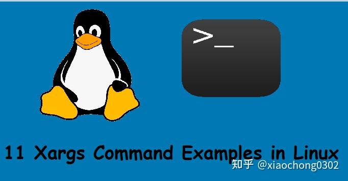 Xargs Icon 我不是网管 - linux xargs 命令 - 知乎