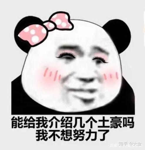 上海名媛群真的很会拼我想要这种拼单时一呼百应的姐妹