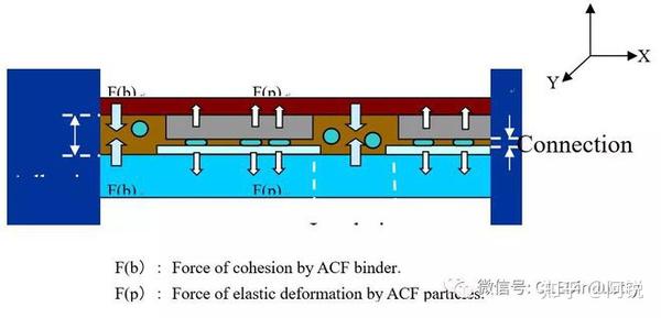Pin Guide Acf 对面板良率至关重要!你有认真了解过ACF吗? - 知乎