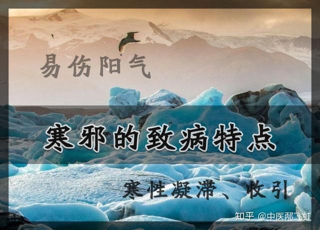 中医所说的