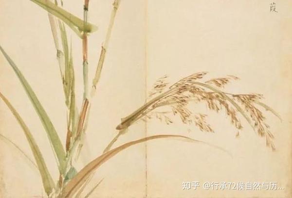 行承72候节气冬至乐律之始