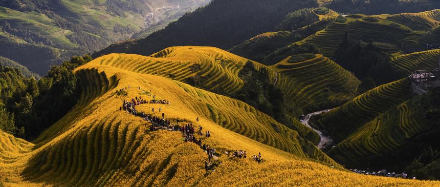 一眼看旅行 8人 贊同了該文章 龍脊梯田自駕遊車可以開上去嗎?