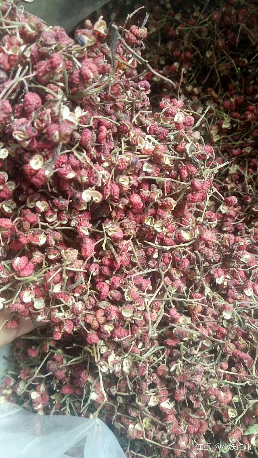 为中国传统的重要出口物质,到明代我国花椒内销日盛,并因郑和下西洋