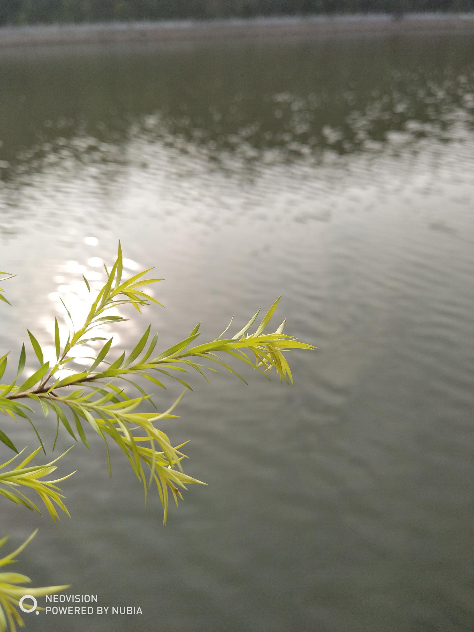 如何评价努比亚全面屏z17s?