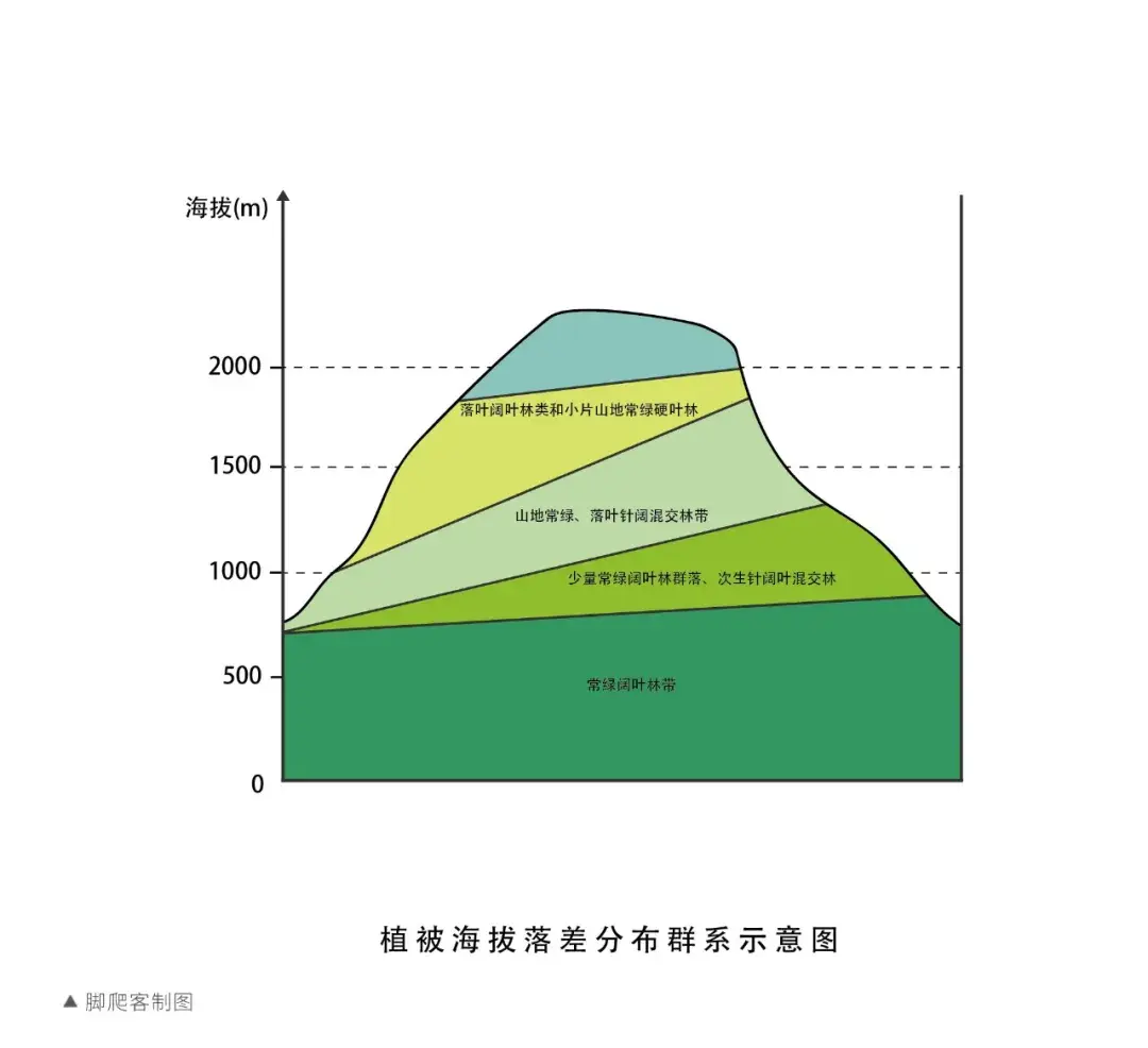 海拔植被分布图图片