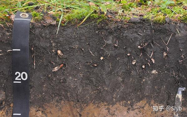 土壤湿度传感器是专为远程监测土壤湿度而设计的4g节点