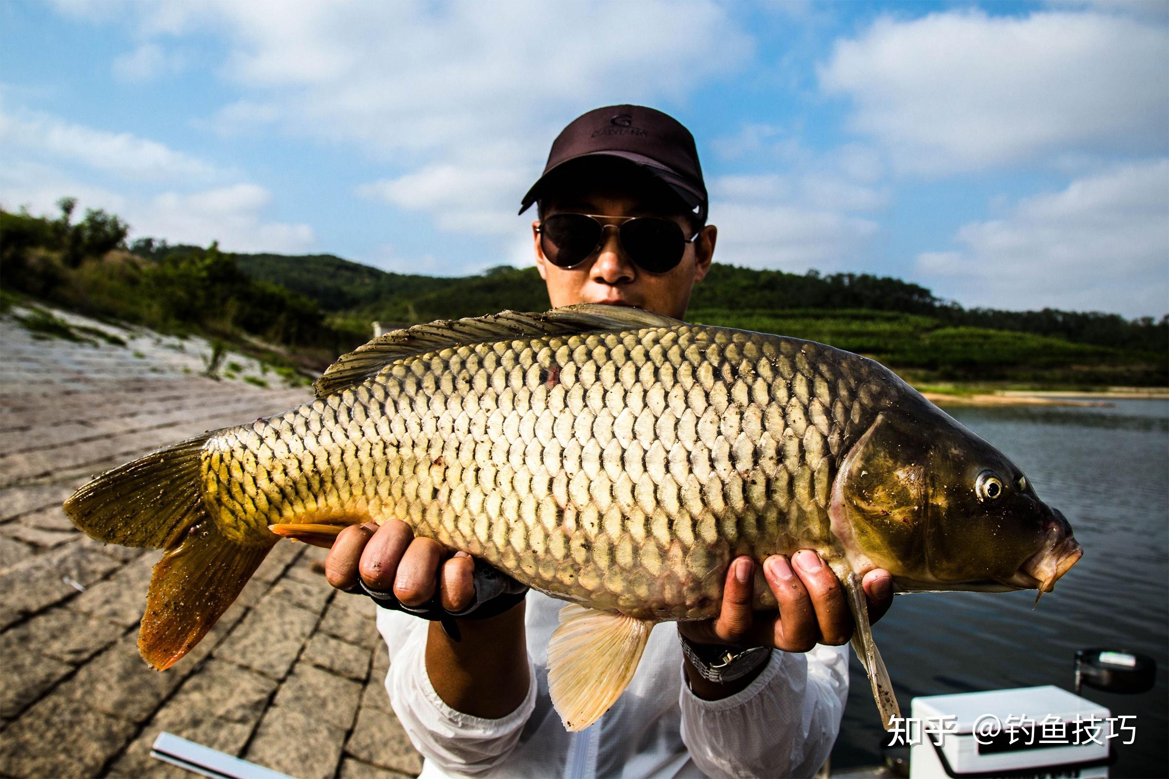 长江峡谷钓鱼，传统独特飞钩钓法，收获满满一盆20斤的野生大鱼__凤凰网