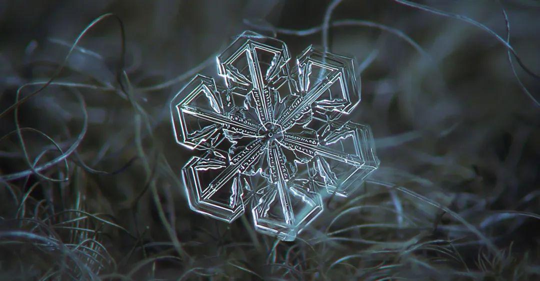 雪花微距图片