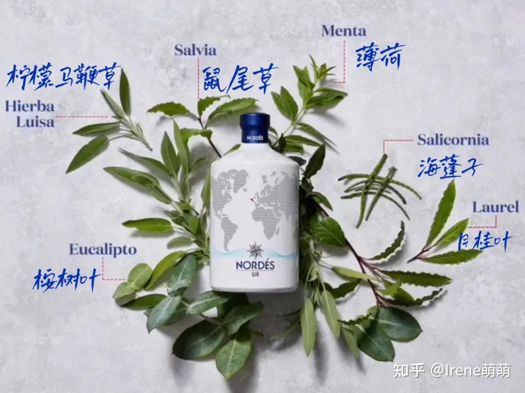 诺迪思金酒介绍图片