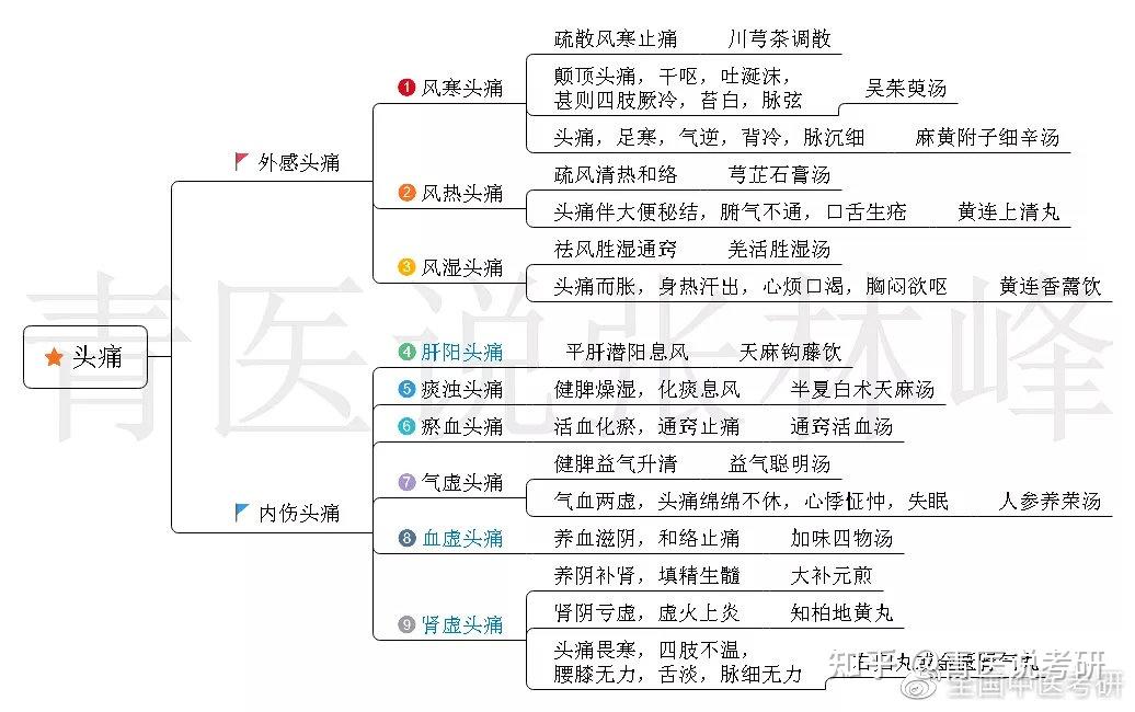 心衰胸痺心悸肺萎肺癆肺癰肺脹喘證哮病咳嗽感冒67正文開始先不多說