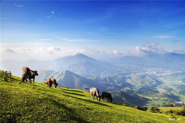 高山草甸湖畔古村南寧周邊小眾打卡地五一約起來