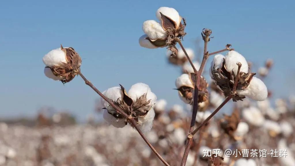 2021年度大事件回顾