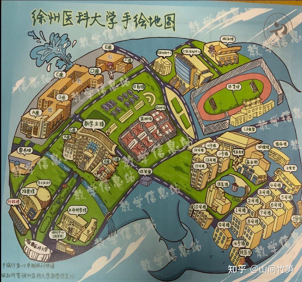 徐州医科大学平面图图片