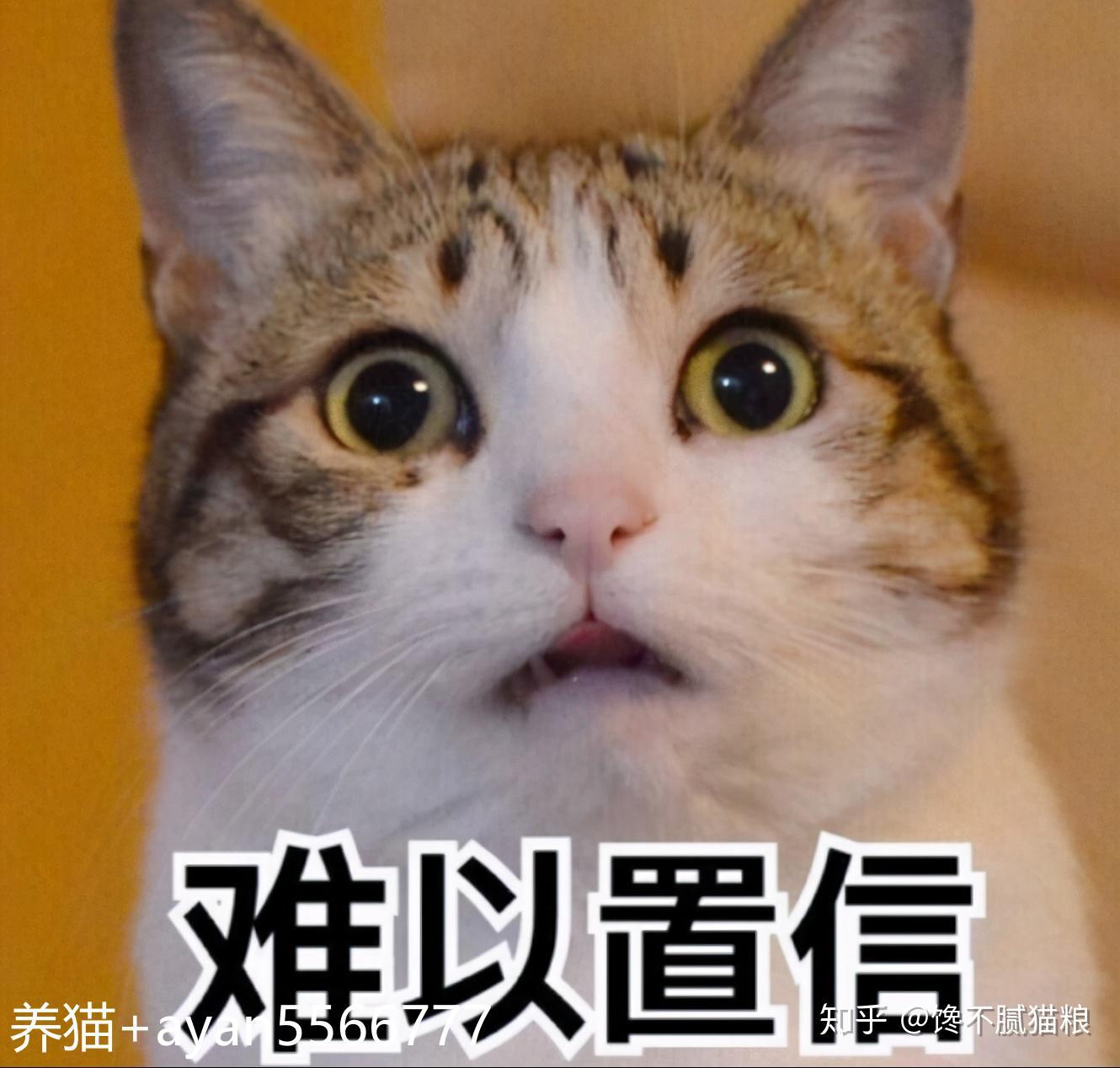 v2-e1383f545e43cf24137ba84d8d4504f5_1440w.jpg?source=172ae18b