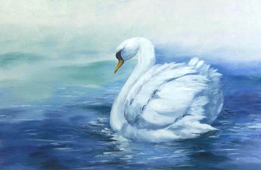 绘画教程86可爱白天鹅步骤图赶紧收藏