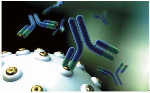抗原-抗体反应(antigen-antibodyreaction),是抗原和对应抗体在一定