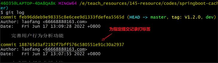 项目发布前如何打tag标签及标签命名规范 - 知乎