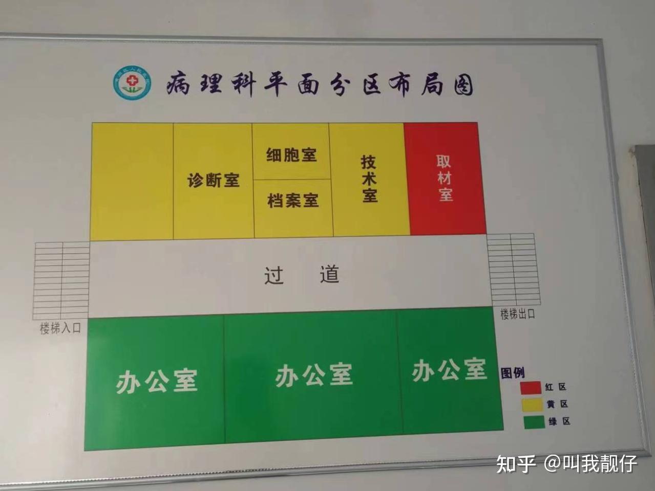 医院病理科相关标准操作规程分享 | 病理技术