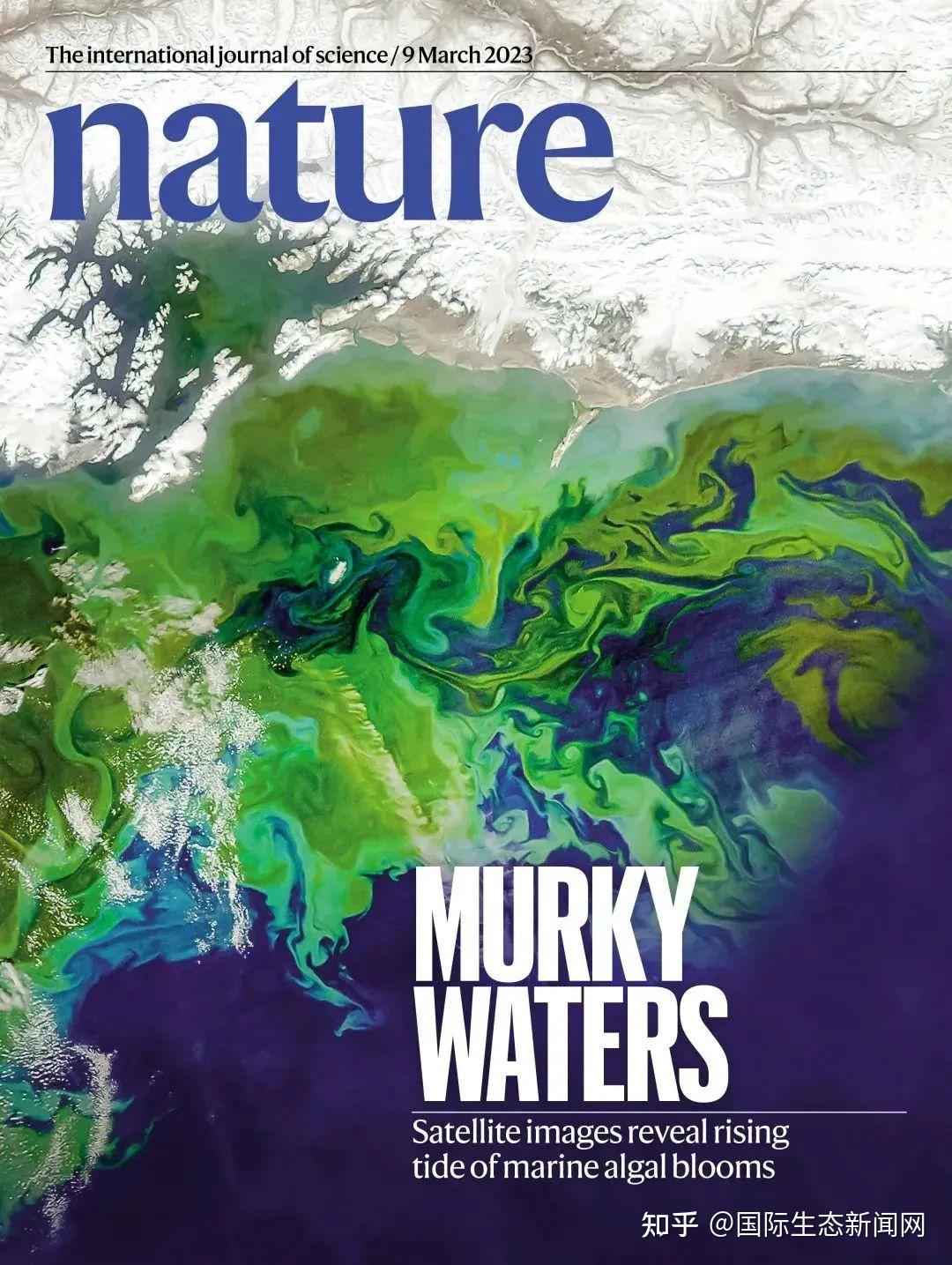 Nature's Update Nature|21世纪全球近海浮游植物水华的扩张与强化 - 知乎