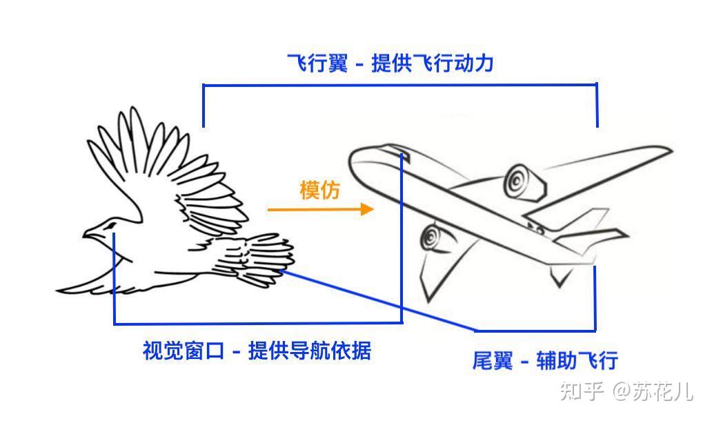 鸟翅膀机械运动简图图片