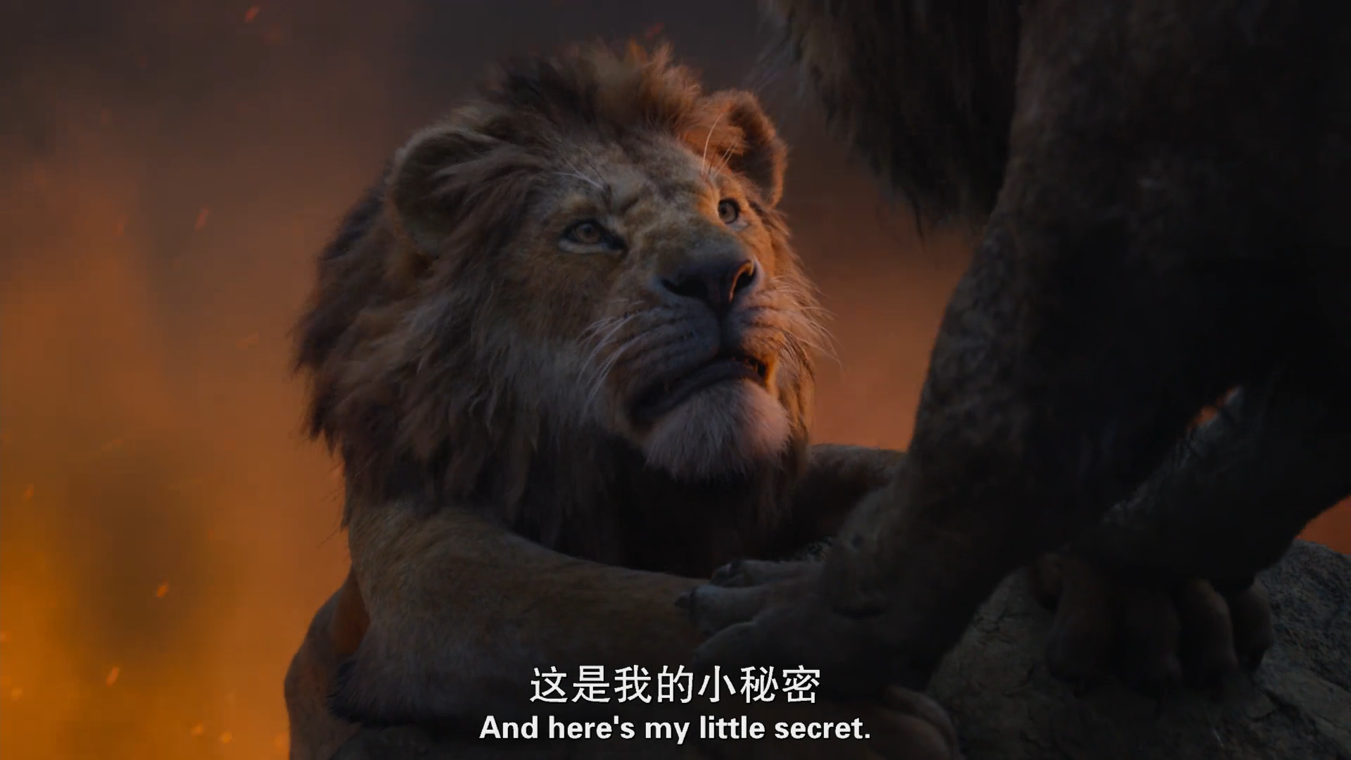 262狮子王hakunamatata