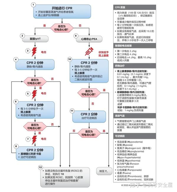 常见急症急救各种流程图（建议收藏） - 知乎