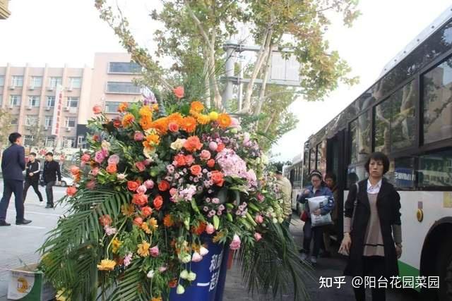 过完年,昂贵的“年宵花”,都当破烂扔,捡到就是捡钱,太幸福了 - 知乎