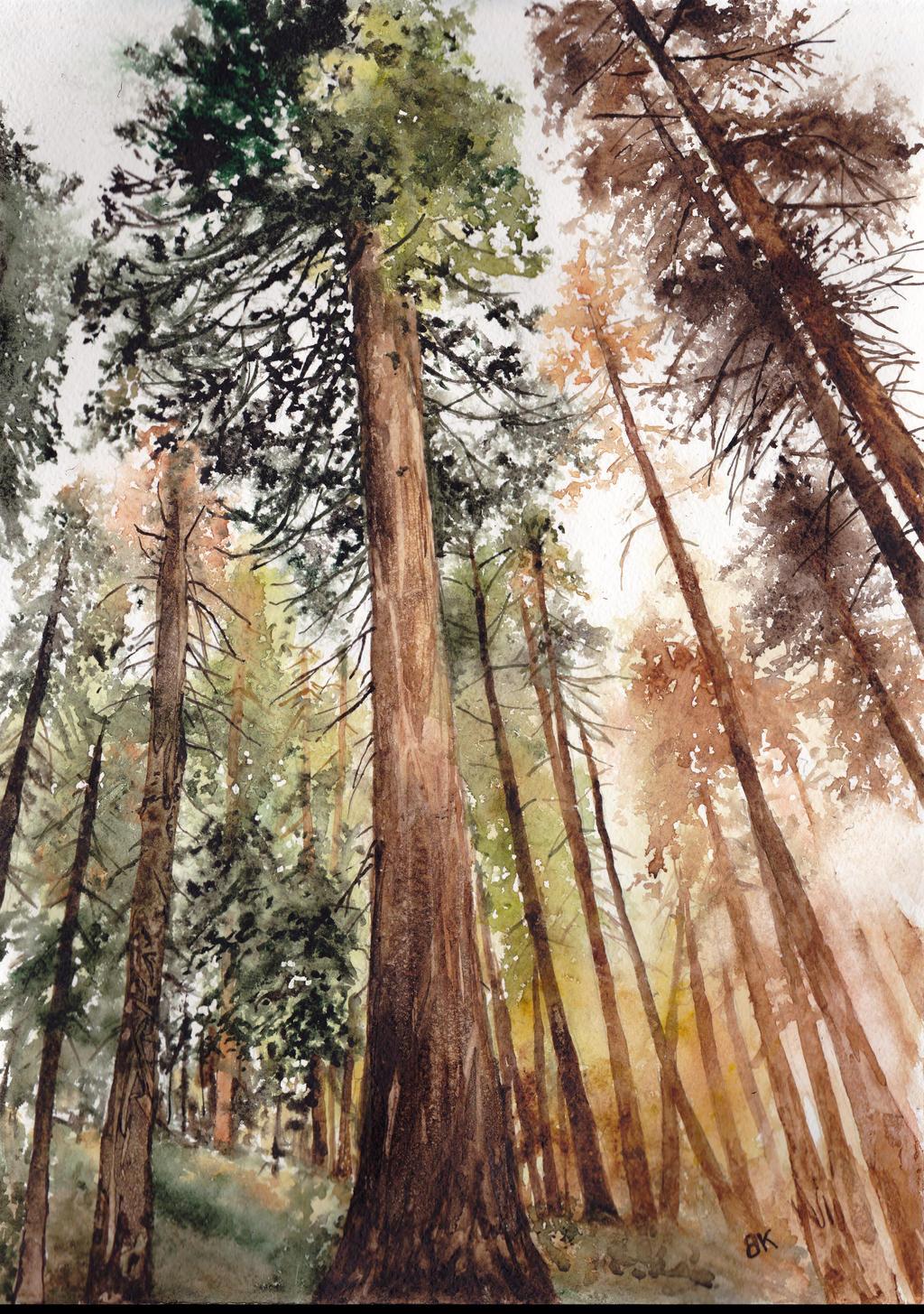 国外大神cg作品欣赏46chattebleu