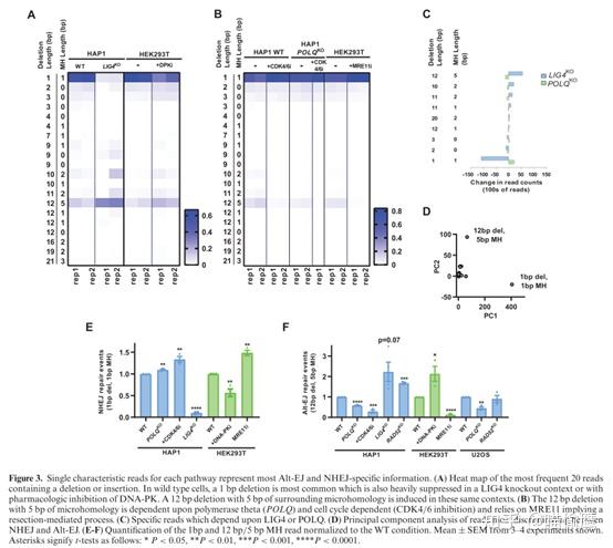 ddPCR：在任何可转染的人类细胞中的内源性位点同时测量非同源末端连接、同源重组和替代末端连接 - 知乎