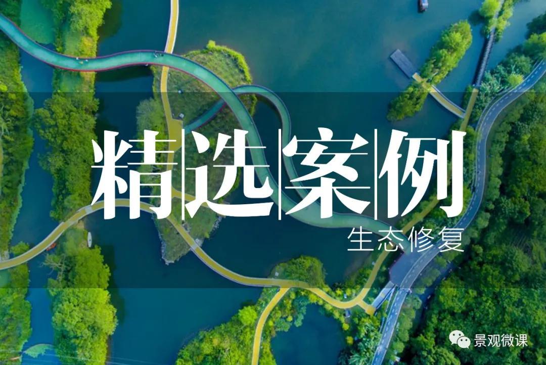 精选案例 | 生态修复—环境的修复与再生 - 知乎